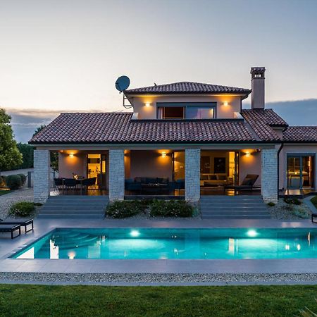 Villa Labin In Zartinj - Luxury Privacy Heated Pool With Auto Cover Exterior photo